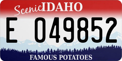 ID license plate E049852