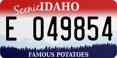 ID license plate E049854