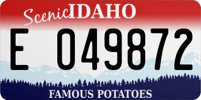 ID license plate E049872