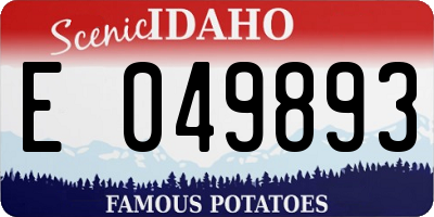 ID license plate E049893