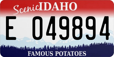 ID license plate E049894