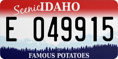 ID license plate E049915