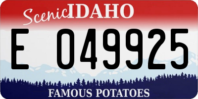 ID license plate E049925