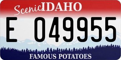 ID license plate E049955