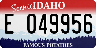 ID license plate E049956