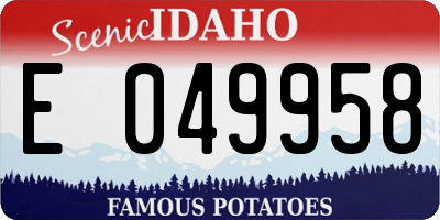 ID license plate E049958