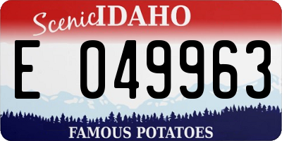 ID license plate E049963