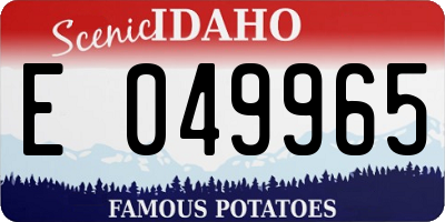 ID license plate E049965