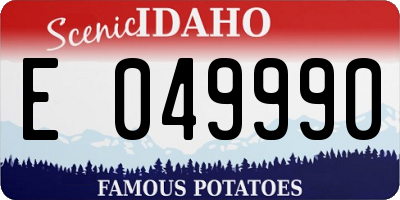 ID license plate E049990