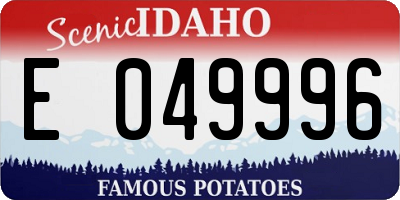 ID license plate E049996