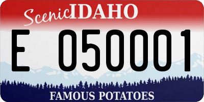 ID license plate E050001