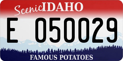 ID license plate E050029