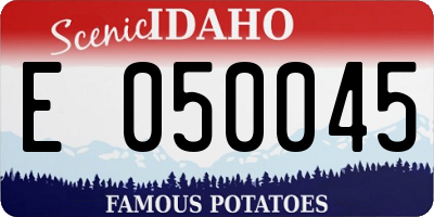 ID license plate E050045