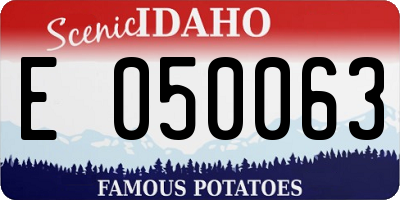 ID license plate E050063
