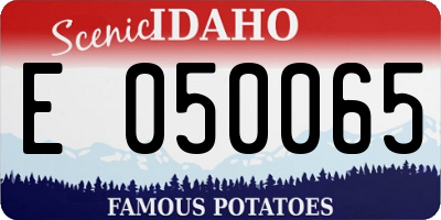 ID license plate E050065