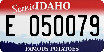 ID license plate E050079