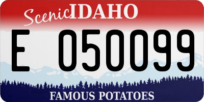 ID license plate E050099