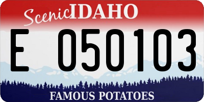 ID license plate E050103