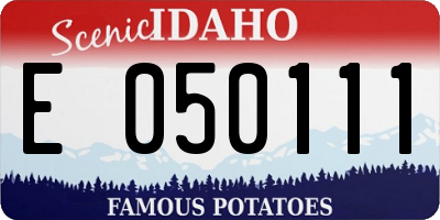 ID license plate E050111