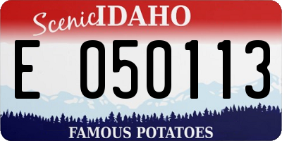ID license plate E050113