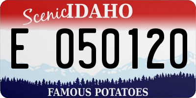 ID license plate E050120
