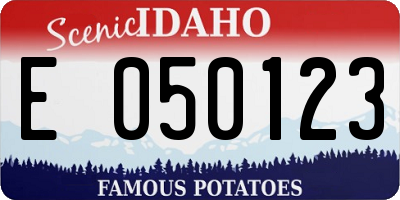 ID license plate E050123