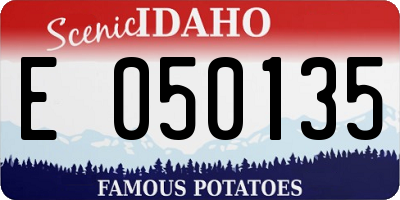 ID license plate E050135