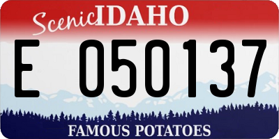 ID license plate E050137