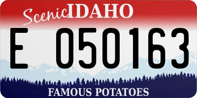 ID license plate E050163