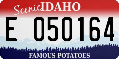 ID license plate E050164