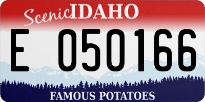 ID license plate E050166