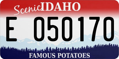 ID license plate E050170