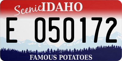 ID license plate E050172