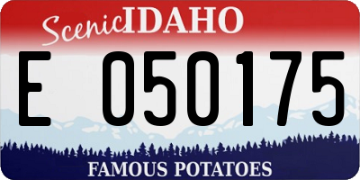 ID license plate E050175