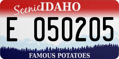 ID license plate E050205