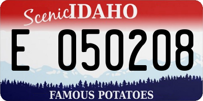 ID license plate E050208