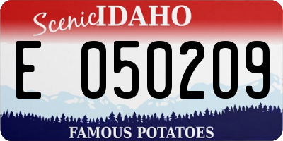 ID license plate E050209