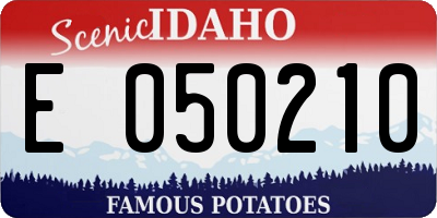 ID license plate E050210