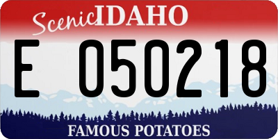 ID license plate E050218