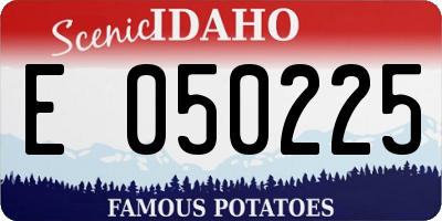 ID license plate E050225