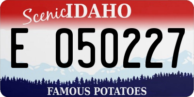 ID license plate E050227