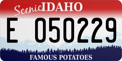 ID license plate E050229
