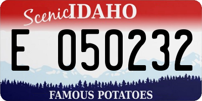 ID license plate E050232