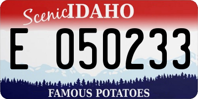 ID license plate E050233