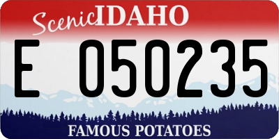 ID license plate E050235