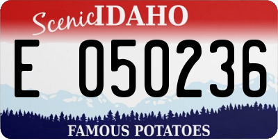 ID license plate E050236