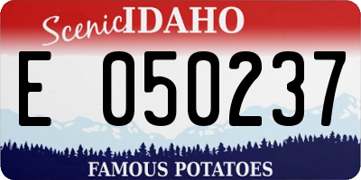ID license plate E050237