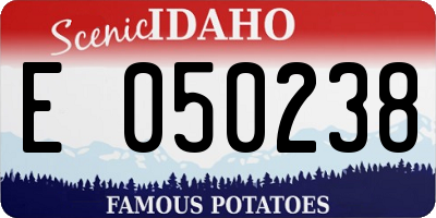 ID license plate E050238