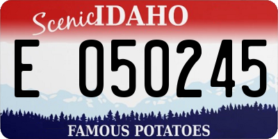 ID license plate E050245