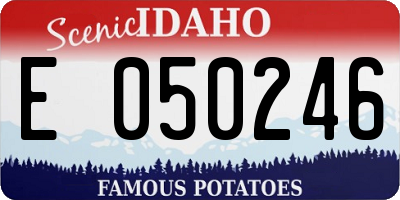 ID license plate E050246